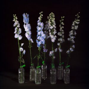 Πάρις Ταβιτιάν. Άνθος Delphinium