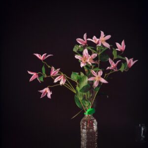 Πάρις Ταβιτιάν. Άνθος Clematis