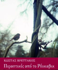 Περαστικός από το Ρέκιαβικ